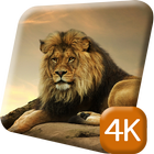 Gorgeous Lion 4K Live Wallpap icône