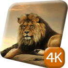 Gorgeous Lion 4K Live Wallpap आइकन