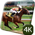 Horse Racing Sport 4K Live-icoon