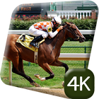 Horse Racing Sport 4K Live icon