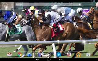 Horse Racing Sport 4K Live screenshot 3