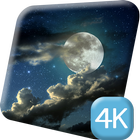 Pretty Moonlight Night 4K Live icon