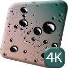 Rain Drops 4K Live Wallpaper icon