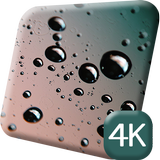 Rain Drops 4K Live Wallpaper icône