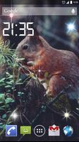 Red Squirrel 4K Live Wallpaper Affiche