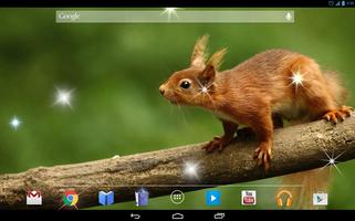 Red Squirrel 4K Live Wallpaper capture d'écran 3