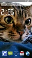 Funny Cat Live Wallpaper bài đăng