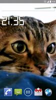 Funny Cat Live Wallpaper ảnh chụp màn hình 1