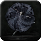 Ballet Dance Wallpapers ikona