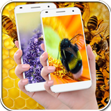 Honey Bee Wallpapers آئیکن