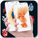 Betta魚壁紙 APK