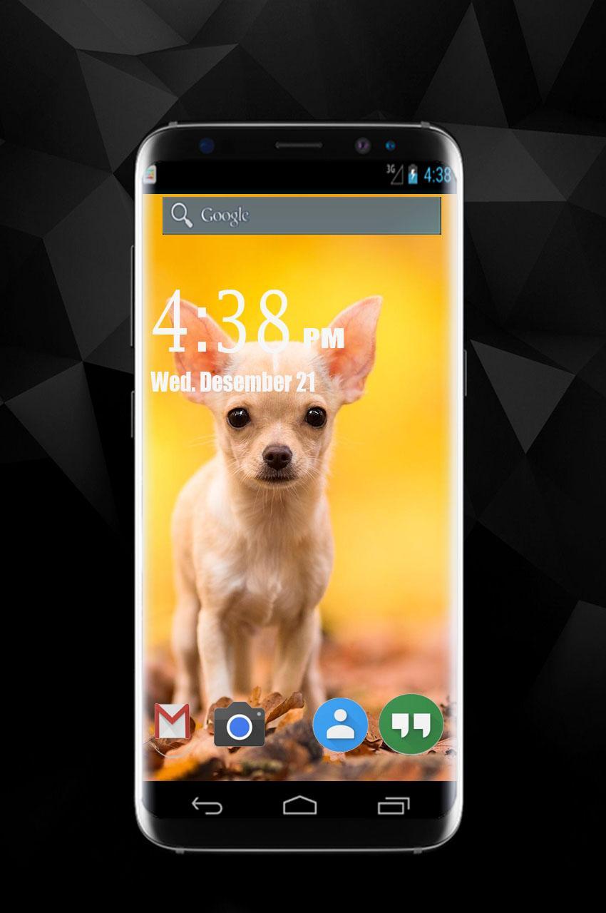 Android 用の チワワ犬の壁紙 Apk をダウンロード