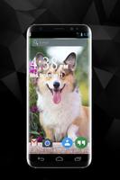 Funny Dog Wallpapers پوسٹر