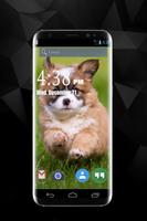 Funny Dog Wallpapers captura de pantalla 1