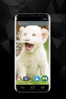 Lion Wallpapers syot layar 3