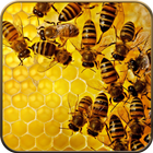 Bee Wallpapers 8K Zeichen