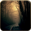 Forest Wallpapers 8K APK