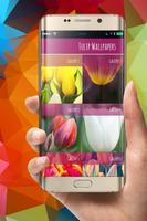 Tulip Wallpapers Flower постер