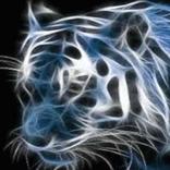 Animação em alta definição