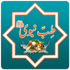 Tib E Nabvi أيقونة