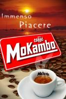 Mokambo Affiche