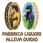 Liquori Alleva icono