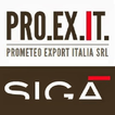 Prometeo Export Italia