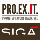 Prometeo Export Italia أيقونة