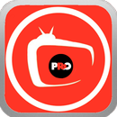 MegaTv Pro Player APK