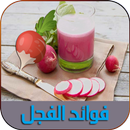 فوائد الفجل بدون نت APK