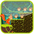 Squirrel Run