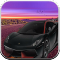 Highway Racer