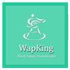 Wapking APK