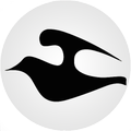 CyberDove LTD