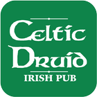 Celtic Druid biểu tượng