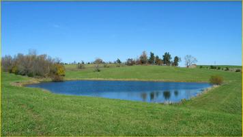 Natural Lake Wallpapers capture d'écran 2