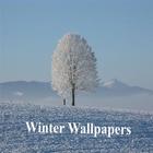 Winter wallpapers icon