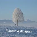 Winter wallpapers APK