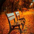 Autumn Wallpapers