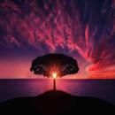 Sunset Wallpapers APK