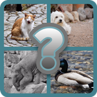 Guess Animal Name أيقونة