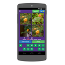 Fruits games APK