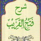 Kitab Fathul Qorib Dan terjemah biểu tượng