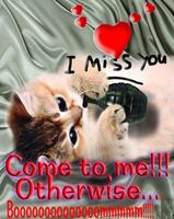 Miss You My Sweet Love Affiche