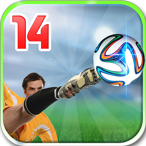3D Football World Cup 14