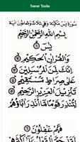 Surat Yasin captura de pantalla 1