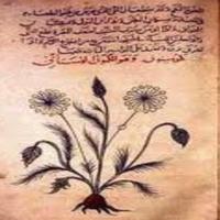 Pengobatan Dengan Al-Quran Affiche
