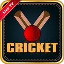 APK Cricket Craze