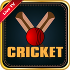 Cricket Craze icône