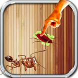 บี้มดแมลงสาบ